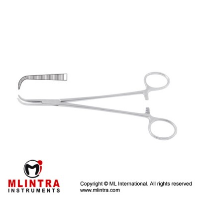 Mini-Gemini Dissecting and Ligature Forcep Curved Stainless Steel, 22.5 cm - 8 3/4"